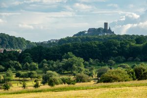 Die Burg Gleiberg umrandet von Wäldern