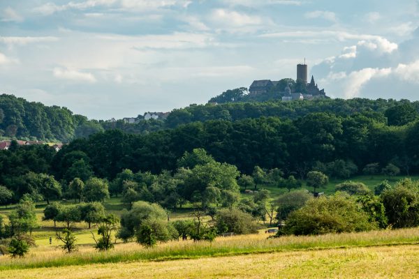Die Burg Gleiberg umrandet von Wäldern