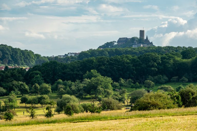 Die Burg Gleiberg umrandet von Wäldern
