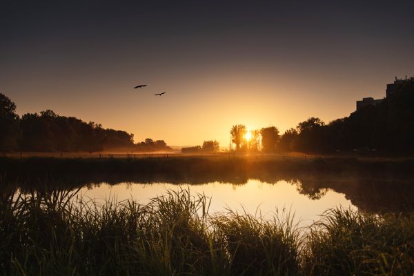 Kleiner See an der Wieseckaue am Morgen, Foto: Nurcihan Demirbas